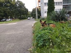 IMG 20180911 102554
